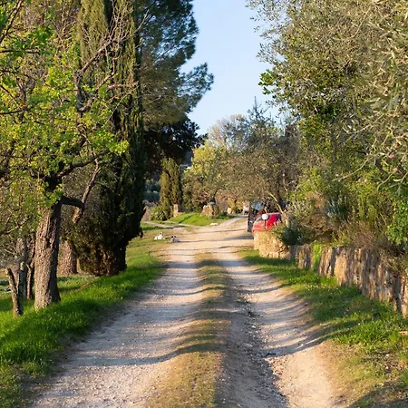 Degli Aromi *